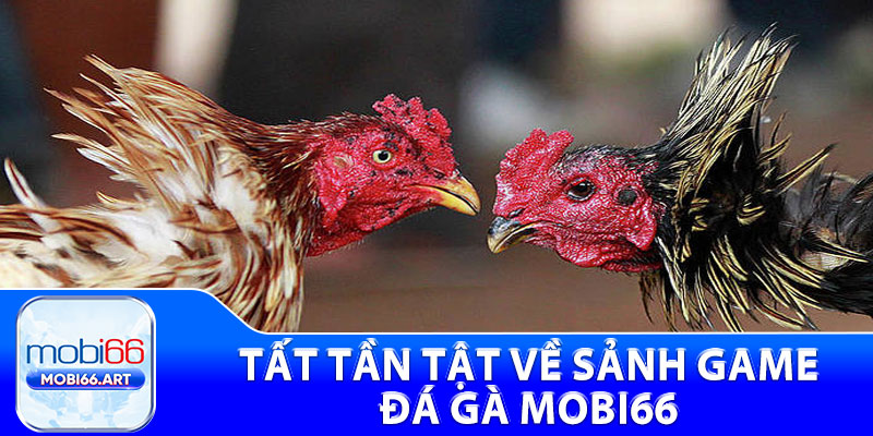 Tất tần tật về sảnh game đá gà Mobi66